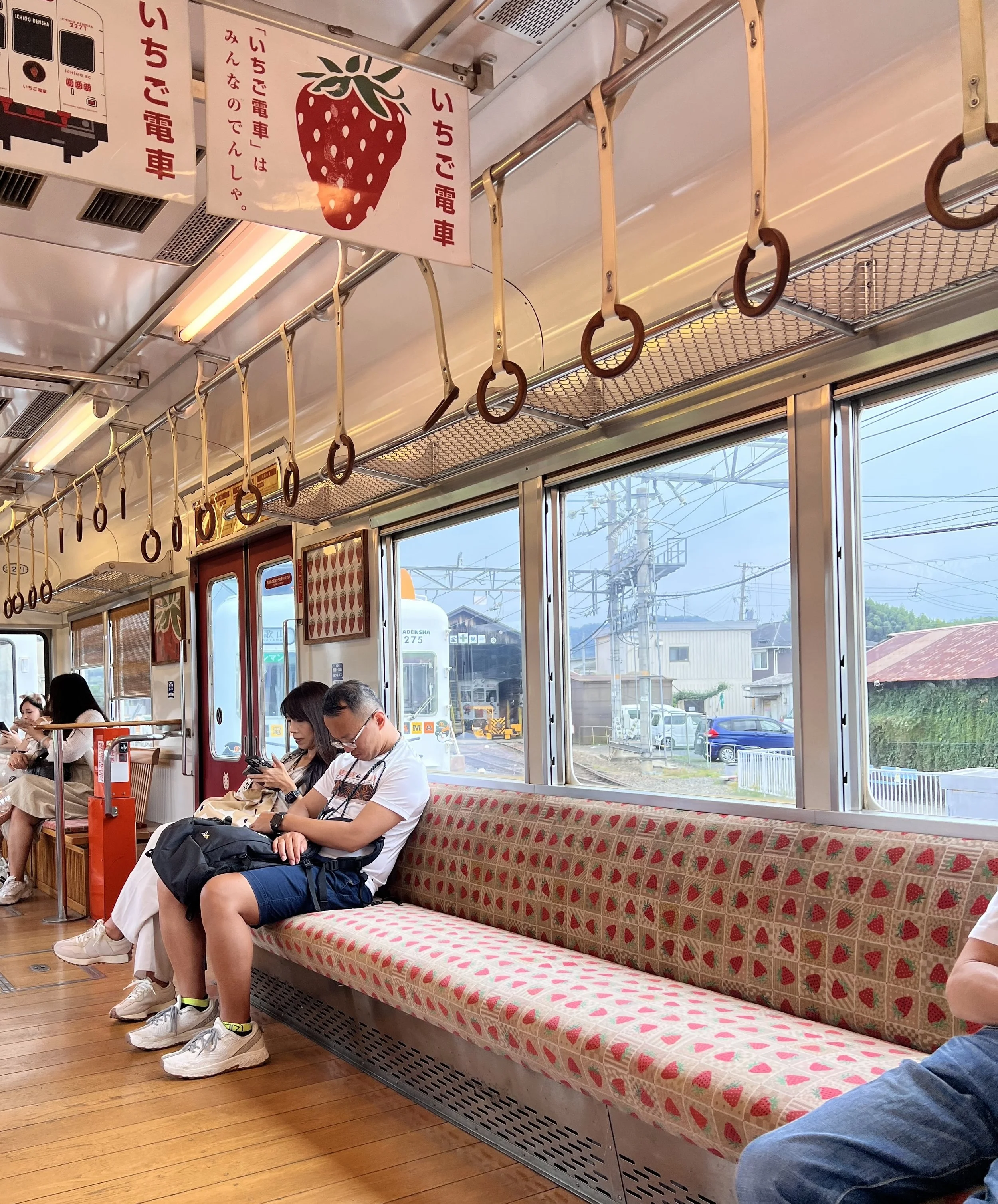 All Aboard the Cat Train! Fun and Unique Day-Trip Idea While